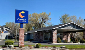 Гостиница Comfort Inn & Suites  Сузанвилл
